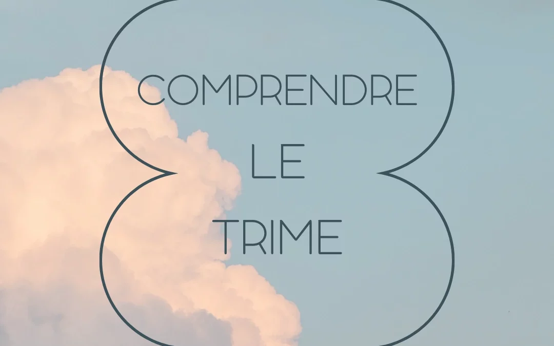 Comprendre le trime
